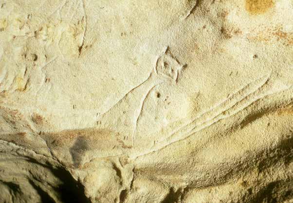 Palaeolithic image of a long-necked cat from