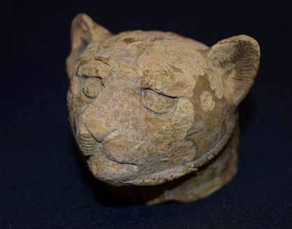Introduction doubt that this is a domestic cat rather than the stylized head of a lioness.