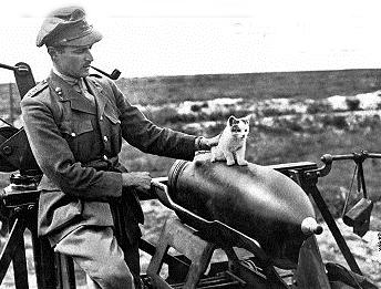 This photograph shows a Royal Garrison Artillery (RGA) officer supervising a kitten balancing on a 12-inch gun shell near Arras in France. The photo was taken in July 1918.
