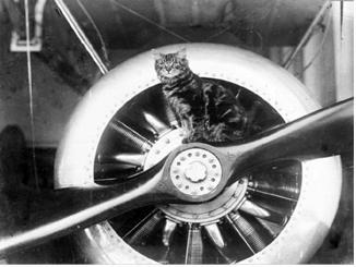 He is seen here sitting on the propeller of one of the seaplanes the ship carried. HMS Vindex was a Royal Navy seaplane carrier during the First World War.