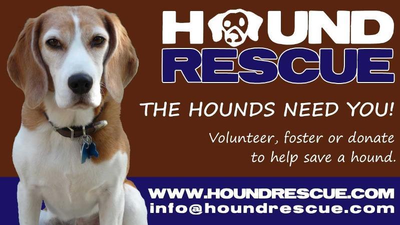 Forward email This email was sent to houndrescue_smith@yahoo.com by info@houndrescue.