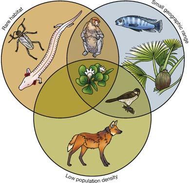 Figure 7.2. Three ways a species can be rare.