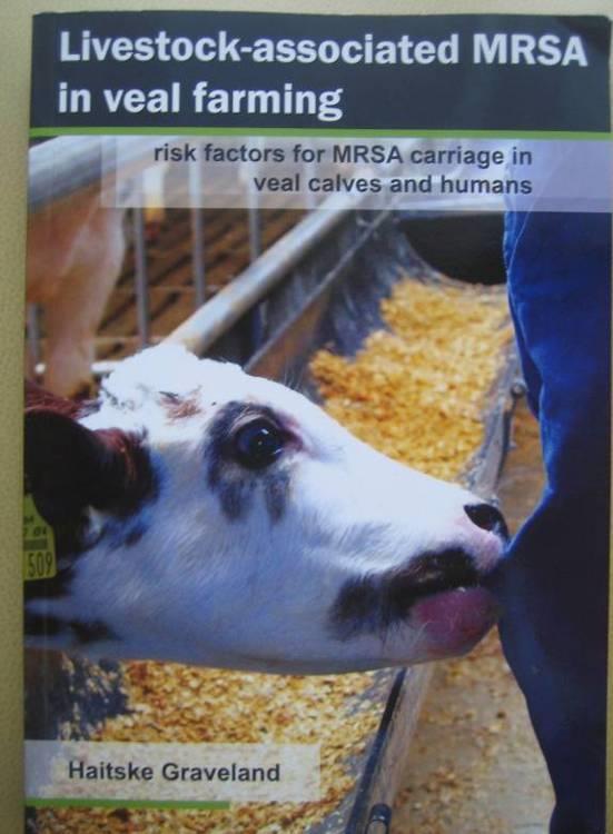 Prevalence MRSA veal farms: 88% People living at veal