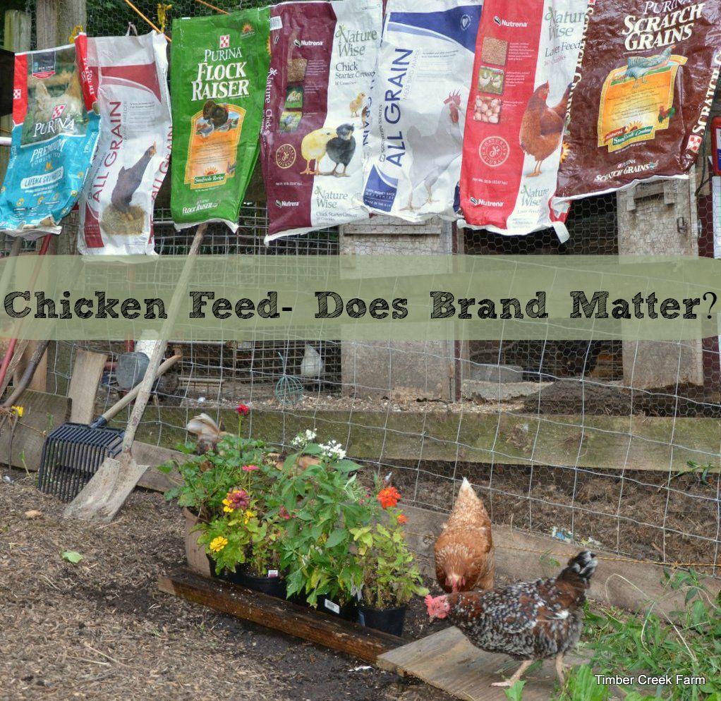 Chicken Feed choices! Brands So many What chicken feed brand should you choose for your feathered friends? Does it even matter?