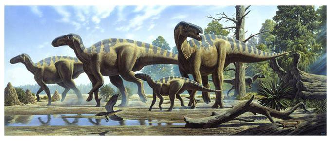 Dino-diversity: The dinosaur radiation led to the development of many wildly different forms.