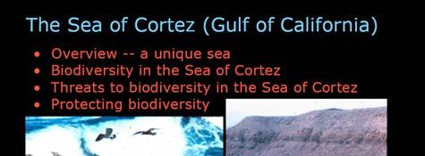 Gulf of California (Sea of Cortez) Field trip to Desert Museum this Saturday Required field trip (you lose a total of 30 out of 100 course points
