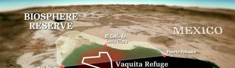 (fishing boats) and trawling nets (shrimp boats) habitat loss due to damming of Colorado River Vaquita WWF-Mexico proposes the
