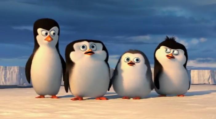 I S S U E 1 Penguin Research Penguins There are 17 species of penguins. All penguins live in the southern Hemisphere. They all live near the sea. All penguins has special characteristic.