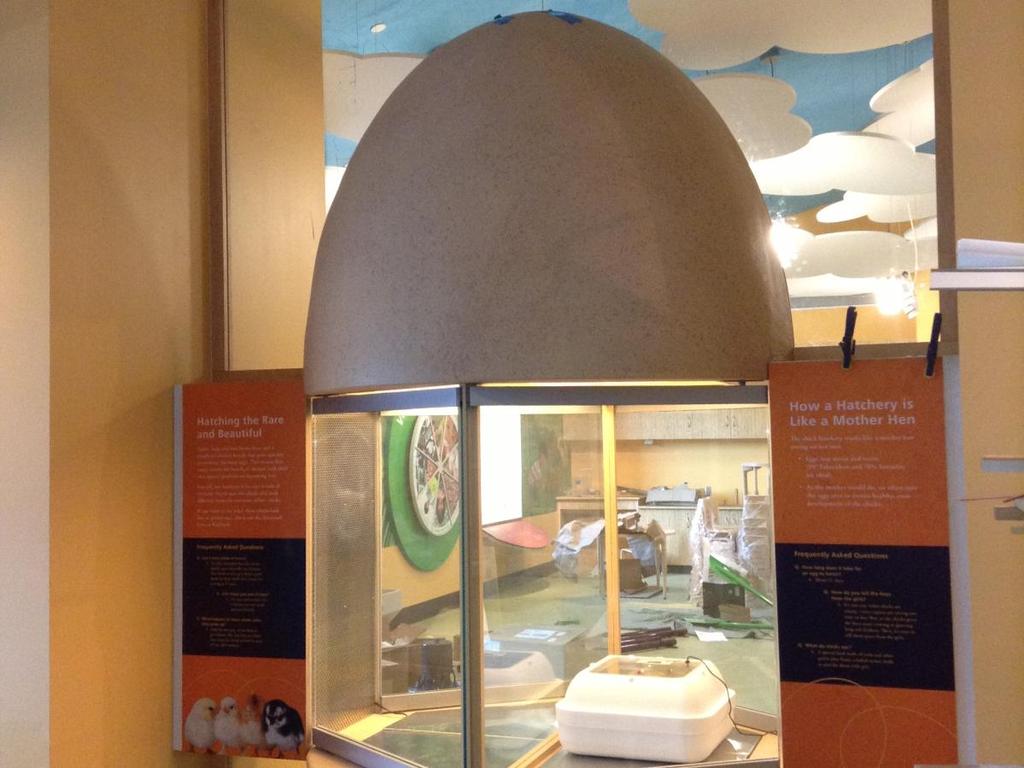 A giant egg will have a lot of little eggs inside it.
