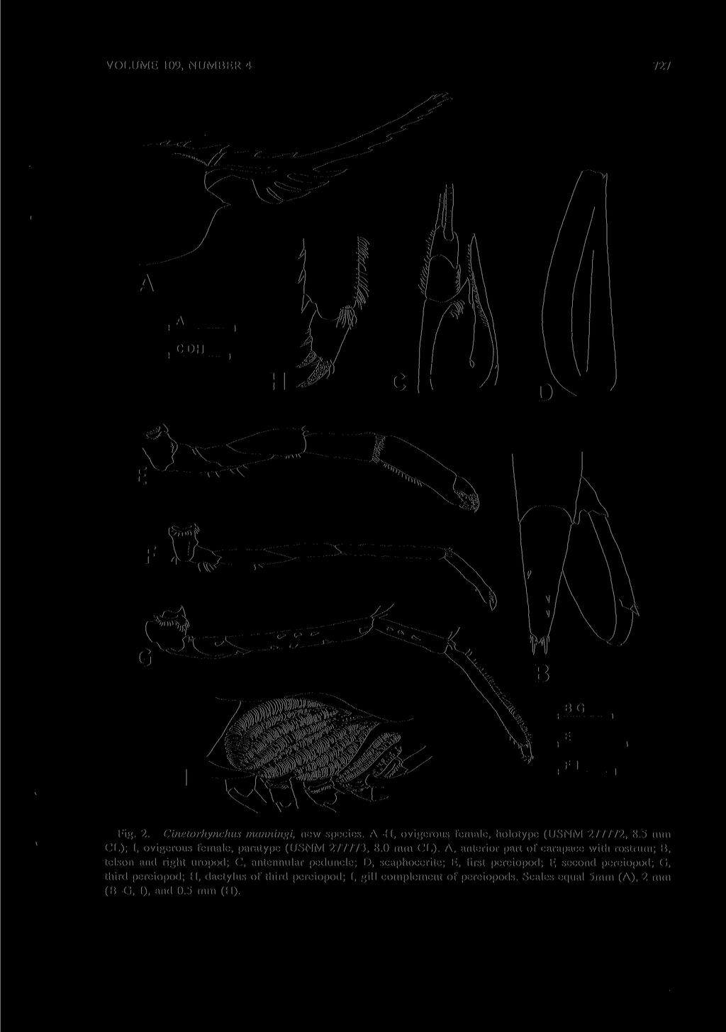 VOLUME 109, NUMBER 4 727 Fig. 2. Cinetorhynchus manningi, new species. A-H, ovigerous female, holotype (USNM 277772, 8.5 mm CL); I, ovigerous female, paratype (USNM 277773, 8.0 mm CL).