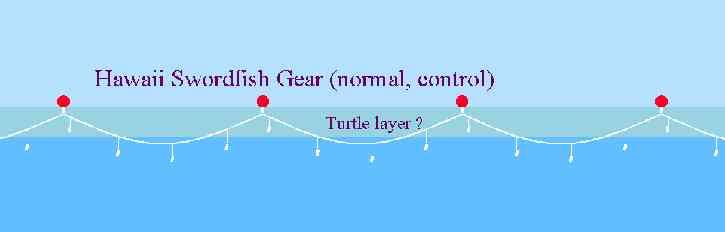 Is there a turtle layer in the North Pacific?? YES!