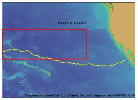 Figure 21: Loggerhead satellite tracking data shows the use within each region is different. In the N.