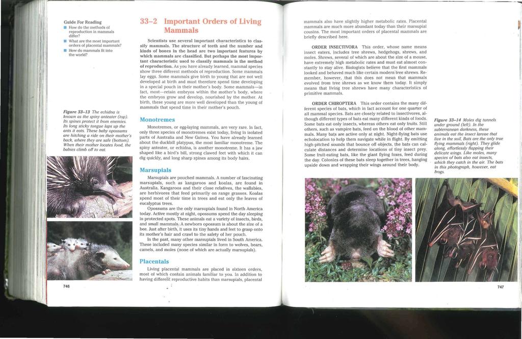 Guide For Reading How do the methods of reproduction in mammals differ? What are the most important orders of placenta] mammals? How do mammals fit into the world?
