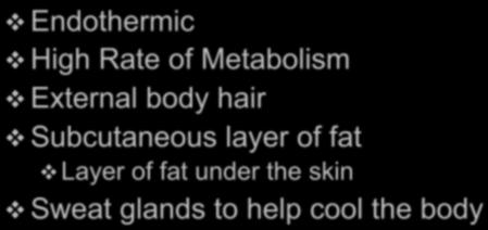 Rate of Metabolism External body hair