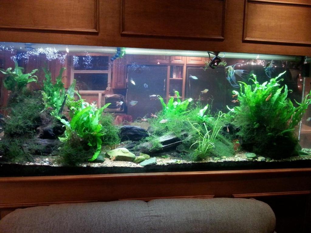 About the Author Larry McGee is the owner of Aquatic Designs, Inc. and has been doing aquarium maintenance professionally since 1994.