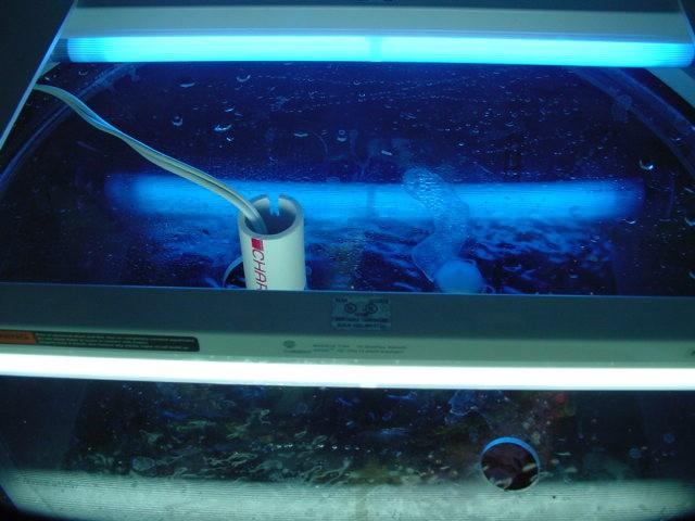 15. Once the aquarium is filled, assemble the lighting unit per the manufacturer s