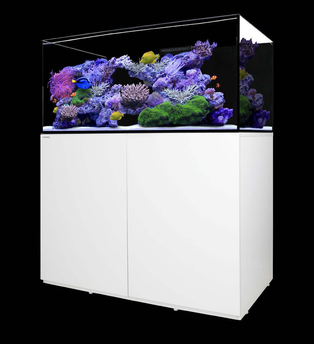 WATERBOX PLATINUM REEF INTERMEDIATE AQUARIUMS Waterbox Platinum Reef Aquariums provide advanced hobbyist with a