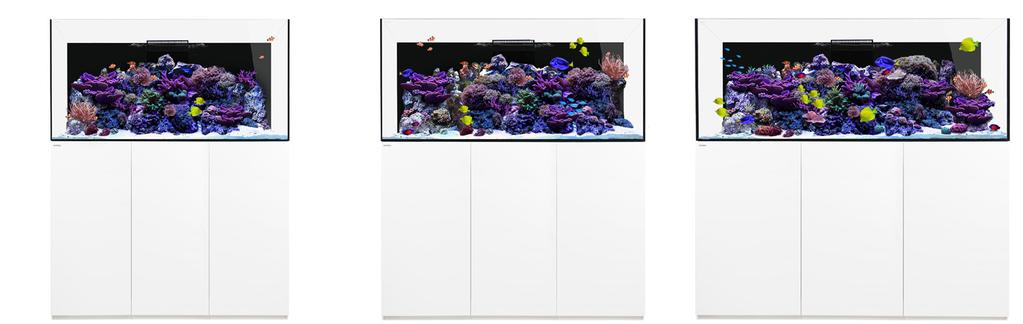 WATERBOX PLATINUM SERIES Exquisitely designed and manufactured marine and reefready aquariums for intermediate to professionals.