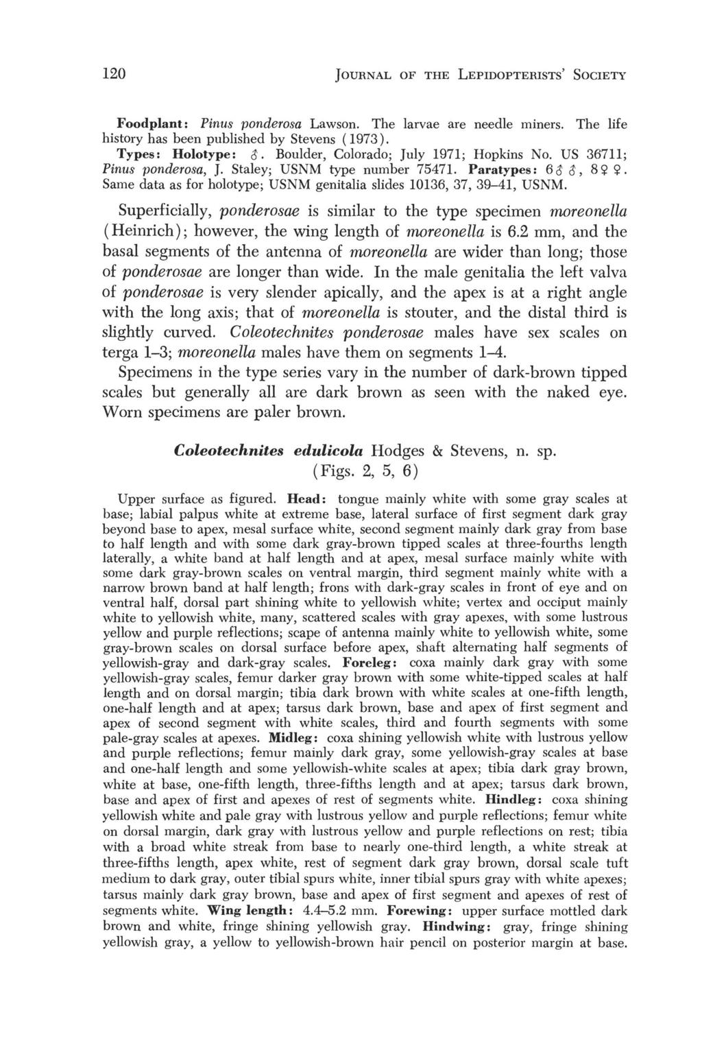 120 JOURNAL OF THE LEPIDOPTERISTS' SOCIETY Foodplant: Pinus ponderosa Lawson. The larvae are needle miners. The life history has been published by Stevens (1973). Types: Holotype: 8.