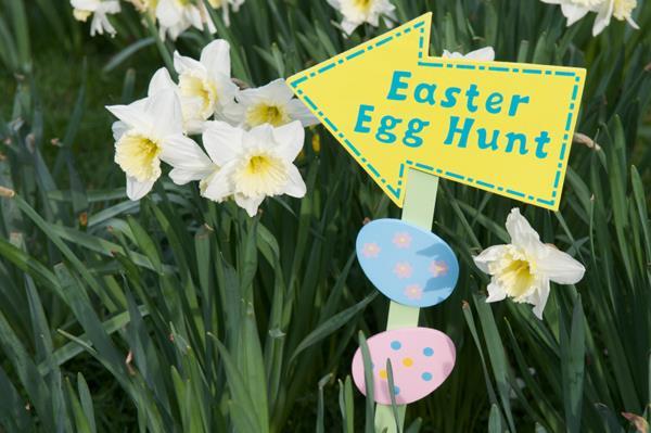 FUN! We will have over 1,000 prize/treat filled eggs to hunt for.