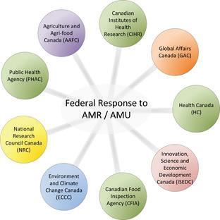 Federal Response