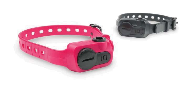 iq No Bark Collar Need a safe alternative to stop unwanted barking?