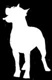 EHC Early-Onset Hereditary Cataract Boxer Briard CNB Congenital Stationary Night Blindness Bulldog Bullmastiff APR-rho CMR1 Multifocal Retinopathy Cavalier King Charles Spaniel CKCSID Congenital