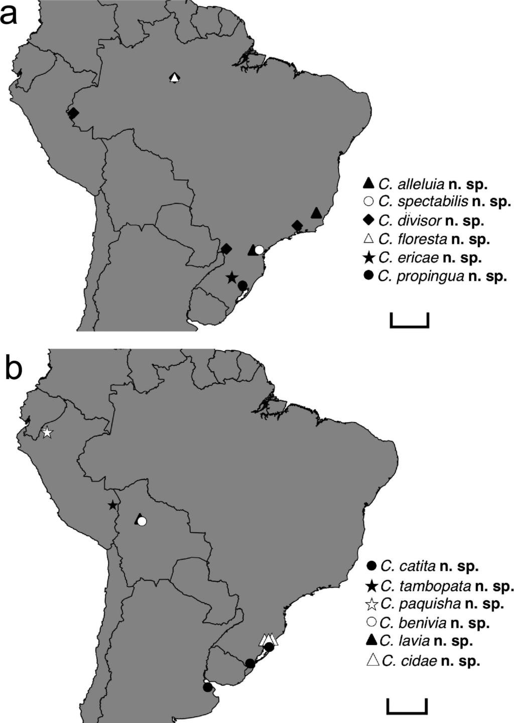RODRIGUES & POETA NEW CRYPTACHAEA SPIDERS 31 Figure 3a, b. Distribution maps of Cryptachaea new species. Scale bars: 500 km. Cryptachaea propinqua new species Figs. 2d f, 3a Type material.