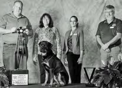 THE 1ST ANNUAL JENNIFER LIND KELLEY MEMORIAL TRIATHLON The ARC Triathlon Rottweiler of the Year is awarded to the