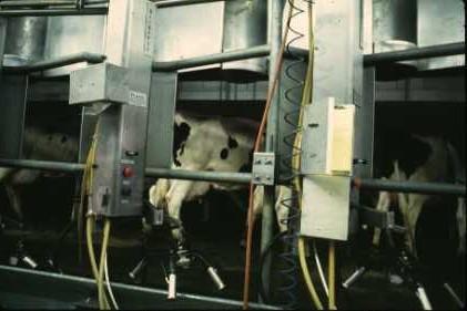 Control Contagious Pathogens Properly functioning milking equipment