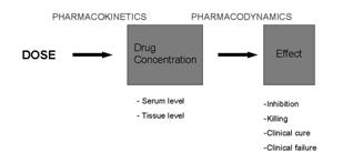 What You Need to Know to Treat Pharmacokinetics Absorption IM, SC, topical GI via oral, tube, or rectal administration Bioavailability = amount of drug that reaches the systemic circulation