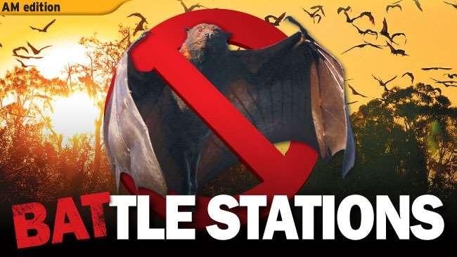 Figure 41 "Battlestations": Some of the media representations of Campbell Newman s war on flying foxes (Tin 2012, Wardill 2013) We have seen in Chapter 4 that flying foxes are creatures whose nomadic