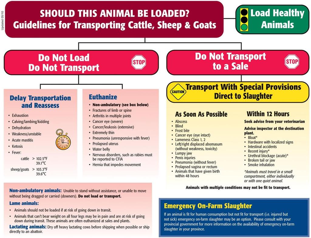 APPENDIX D SPCA Certified Standards for the Raising and Handling of Sheep 41 APPENDIX D: DECISION TREE - SHOULD THIS ANIMAL BE LOADED?