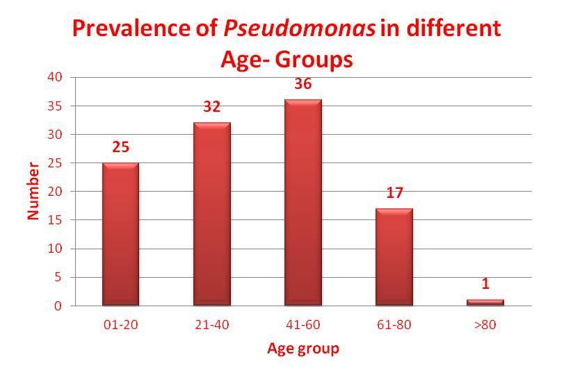 Results Majority of the Pseudomonas strains were isolated from ICU (30.63%), followed by Orthopedics (14.41%) and Pediatrics wards (13.51%) as per Table - 1.