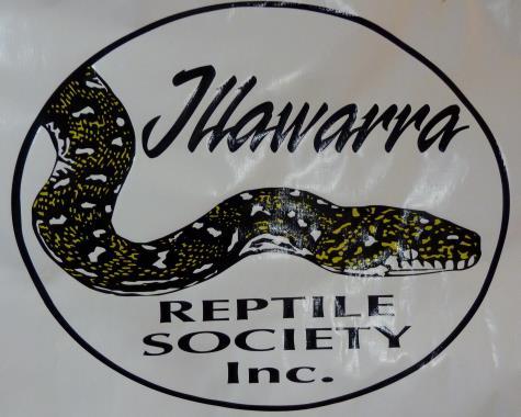 September 2015 HERPUTOPIA NEWS Promoting the care and enjoyment of reptiles and amphibians through education. REPTILE RAMBLINGS by Aaron Baker. www.illawarrareptilesociety.com.
