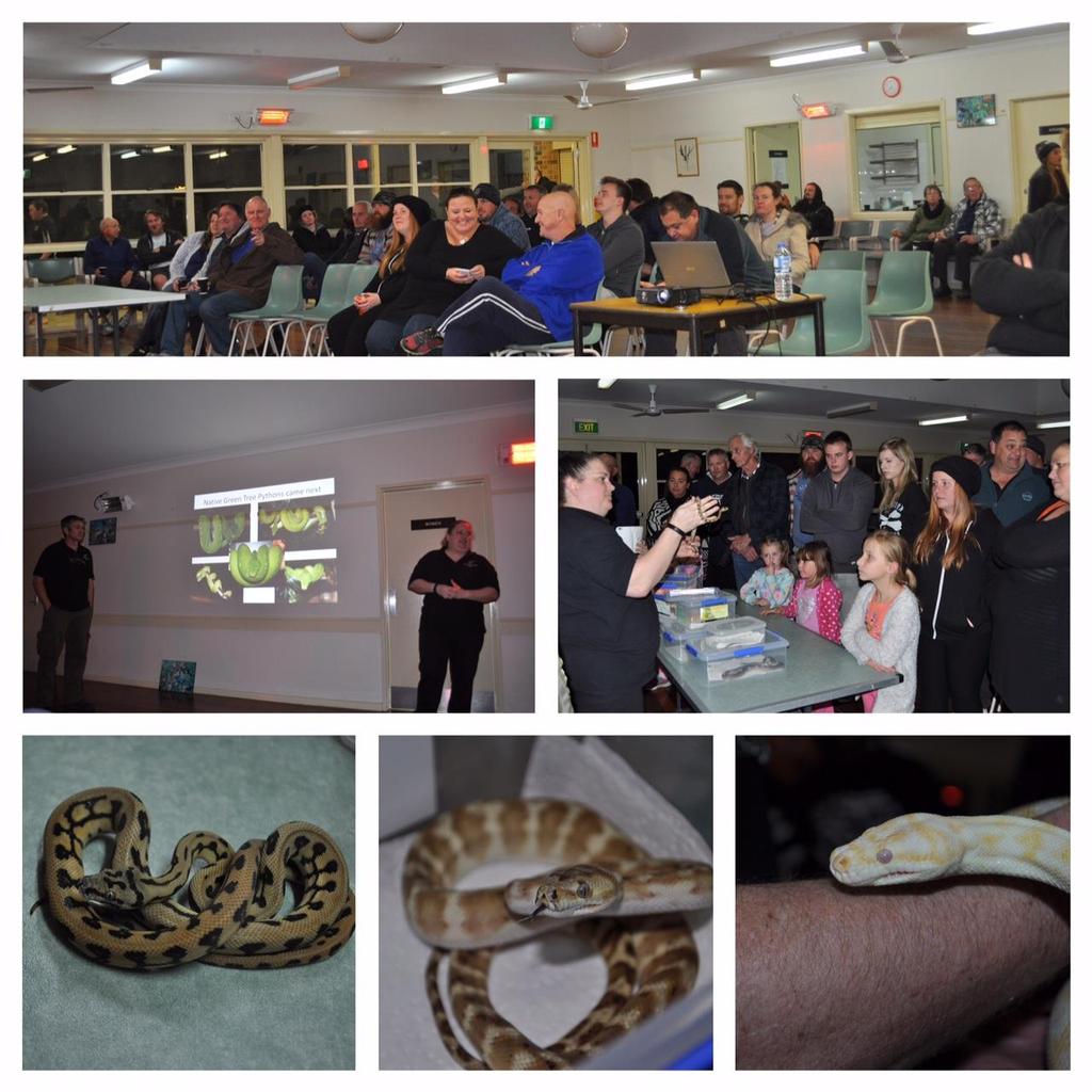 This Happened Last Month Lisa and Darrin from Top End Pythons were the guest speakers at last month s meeting.