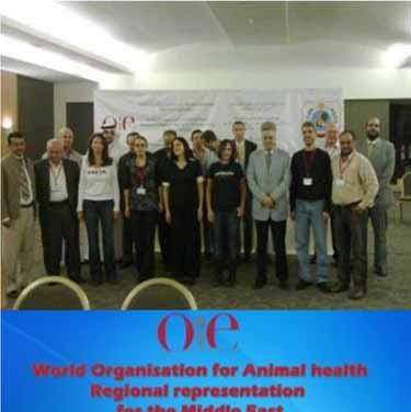Training of OIE Focal Points on Animal Welfare.