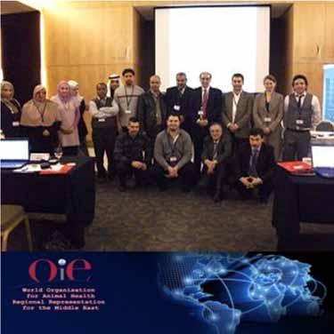Training of OIE Focal Points on Animal Disease Notification.
