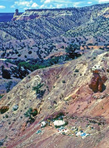 the Triassic in what is now the Petrified Forest National Park of Arizona.