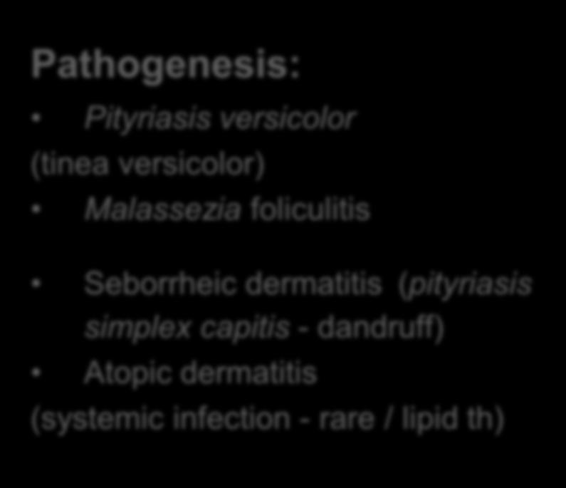 pahidermatis Pathogenesis: Pityriasis