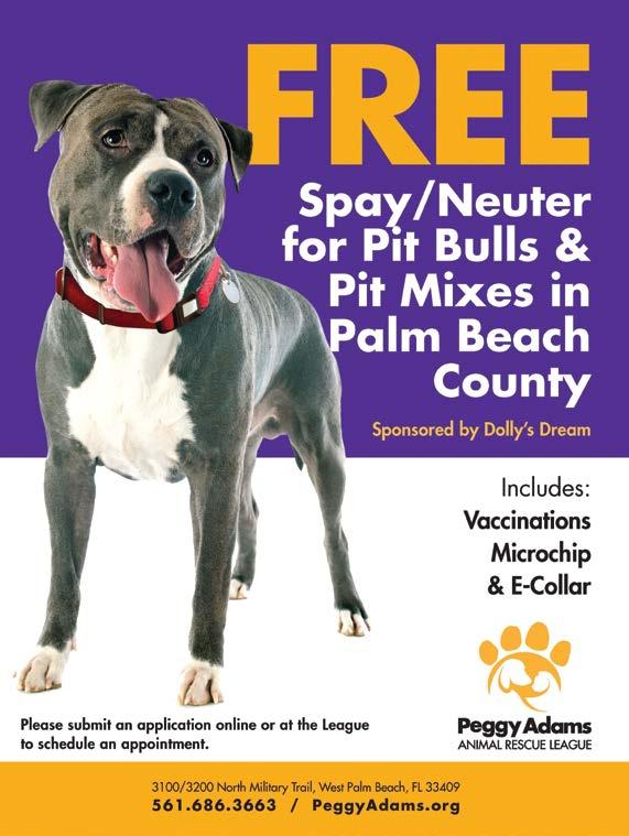 Peggy Adams Animal Rescue League is offering Free Spay/ Neuter Marathon dates in