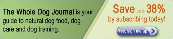 Read More on These Topics Dog Health & Care