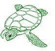 Sea Turtle Conservation in Seychelles by