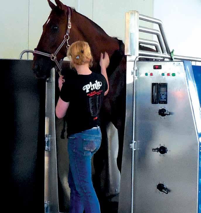 injury to both horse and operator. The spas can be supplied without the neck-guard or without side safety rails on request, but they are strongly recommended on safety grounds.