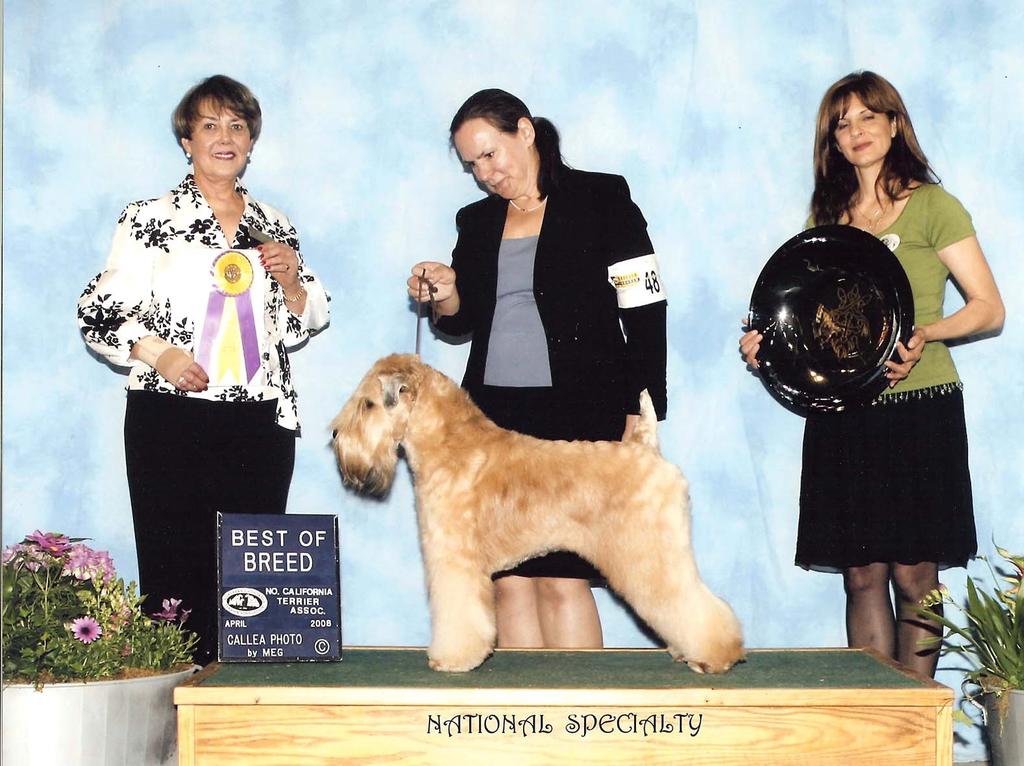 Best in Specialty Show Breeder Award National Roving