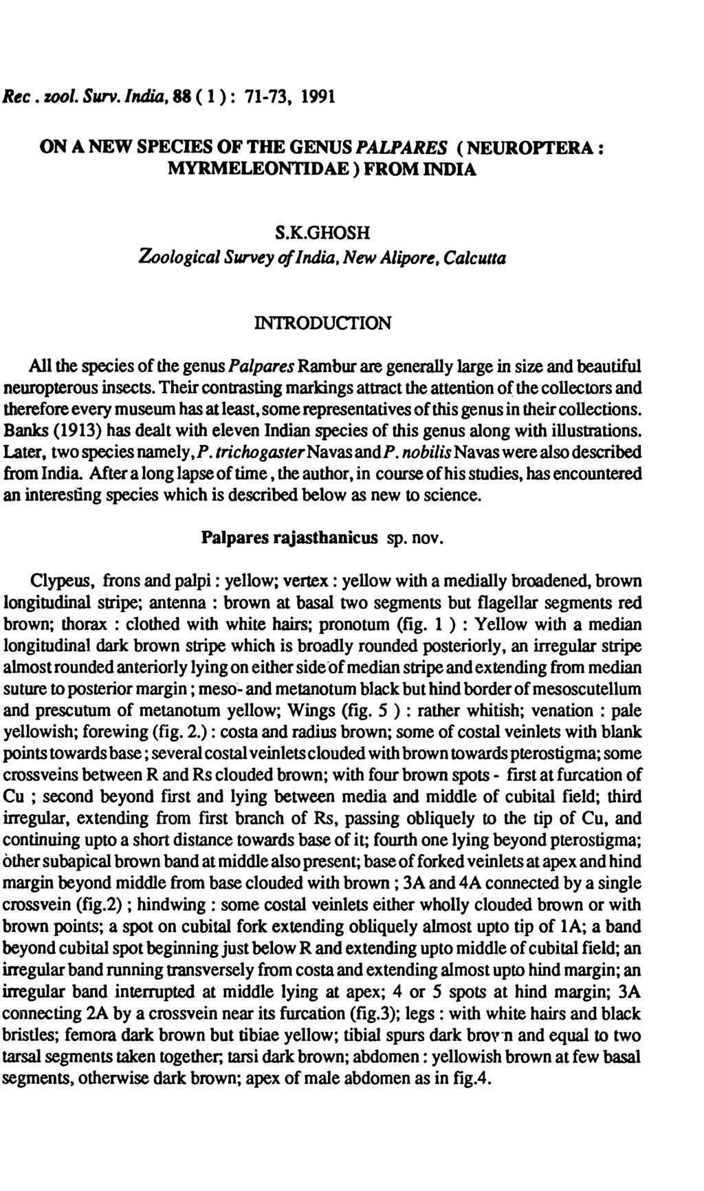 Rtc. zool. Surv.lndia, 88 ( 1 ): 71-73, 1991 ON A NEW SPECIES OF THE GENUS PALPARES (NEUROPTERA: MYRMELEONTIDAE) FROM INDIA S.K.