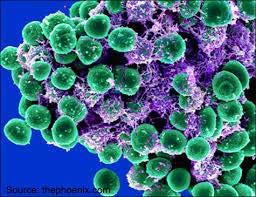 Antimicrobial Resistance: Strains of Concern Prevent drug-resistant infections