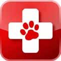 OTHER information GSDCA Health Form Tell us about your dog s health so that it can help others.