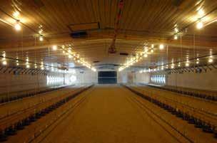 Environmental Requirements Controlled Environment Housing Power ventilation in controlled or closed environment houses is the most popular form of ventilation system for parent stock due to the