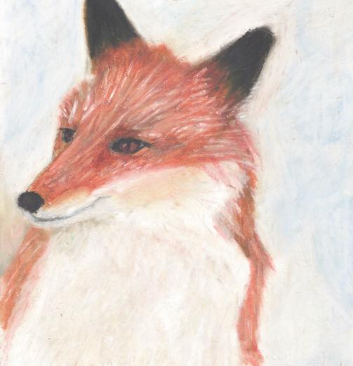 So for the purpose of entertaining the likes of superb horseman like George Washington, red foxes were imported from their native England.